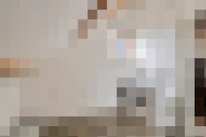 Schoener 63 Barendrecht thumbnail 34