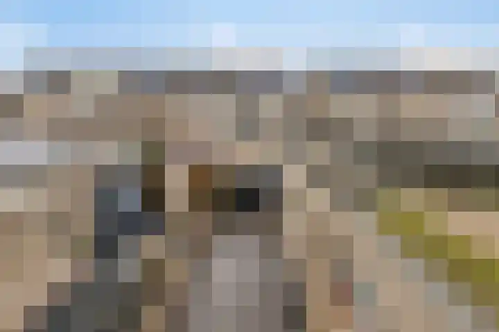 Schoener 65 Volendam thumbnail 33