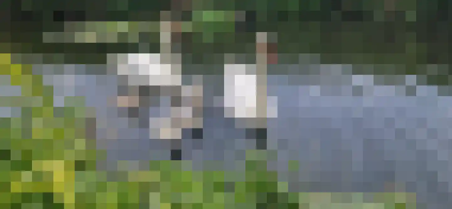 Schoener 69 Velserbroek thumbnail 19