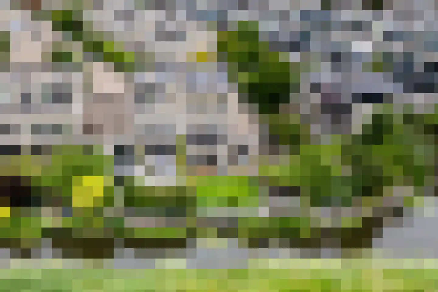 Schoener 69 Velserbroek thumbnail 4