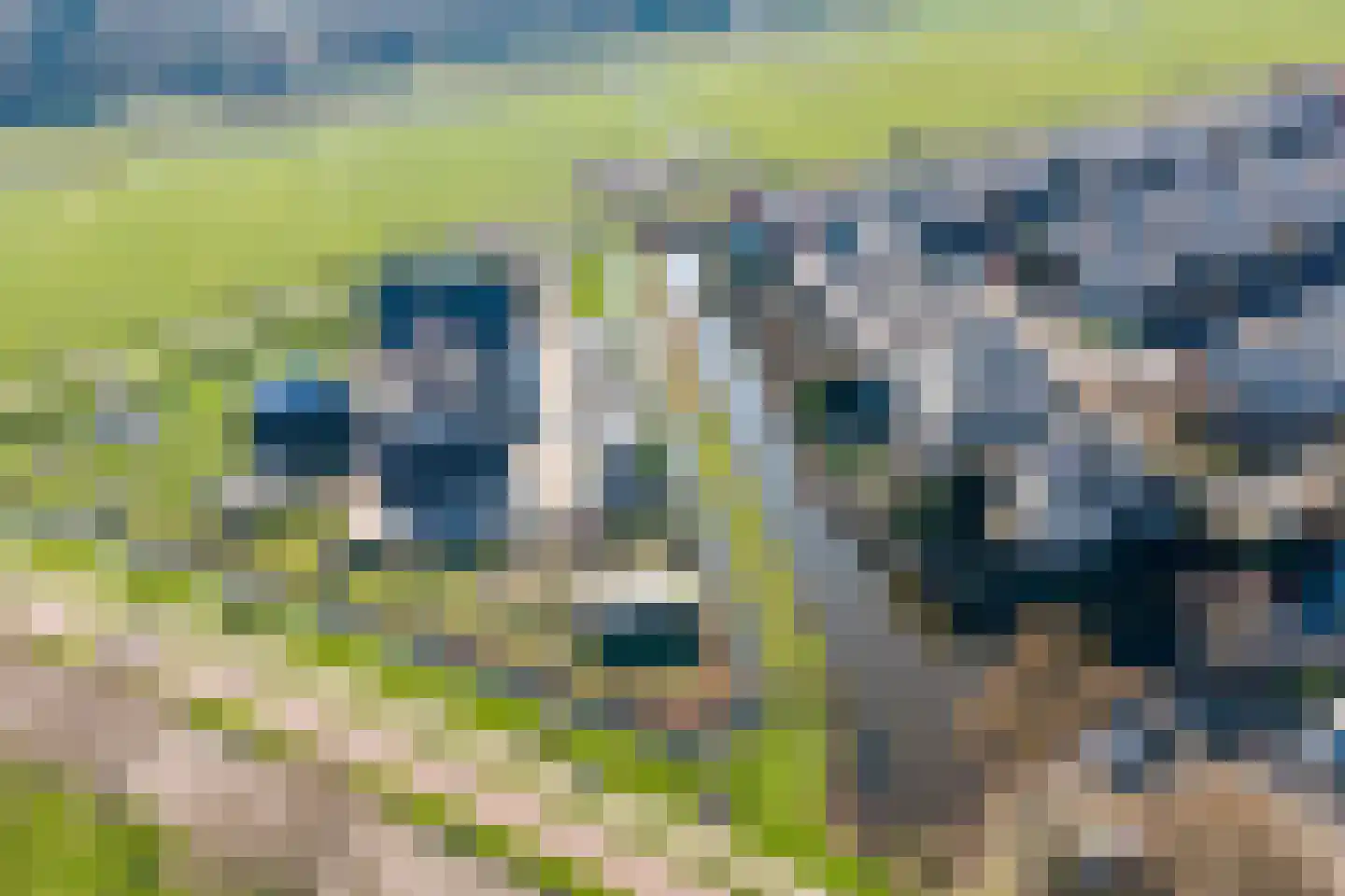 Schoener 69 Velserbroek thumbnail 46