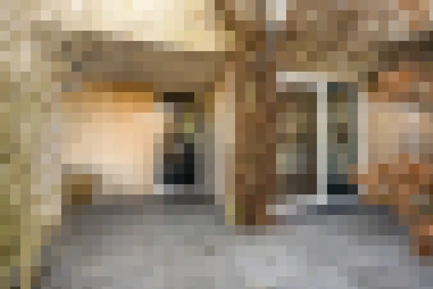 Schoener 69 Velserbroek thumbnail 7