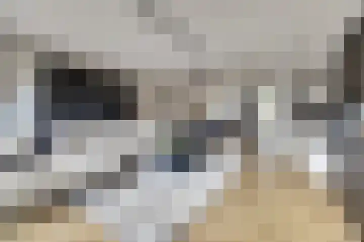 Schoener 7 Spijkenisse thumbnail 10