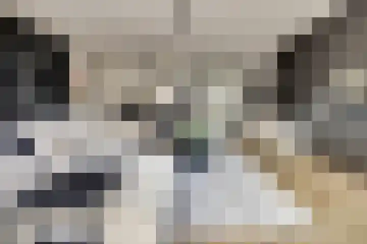 Schoener 7 Spijkenisse thumbnail 11