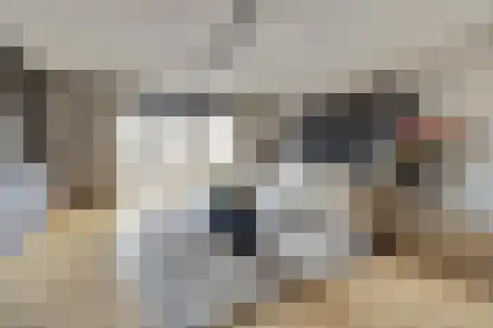 Schoener 7 Spijkenisse thumbnail 12