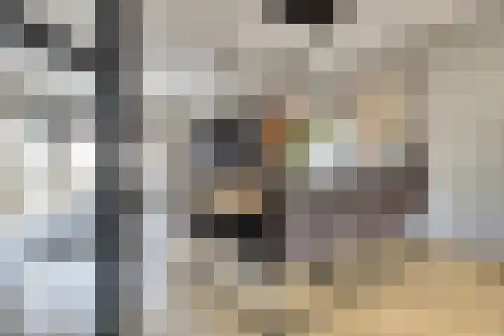 Schoener 7 Spijkenisse thumbnail 15