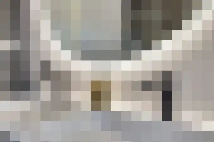 Schoener 7 Spijkenisse thumbnail 20