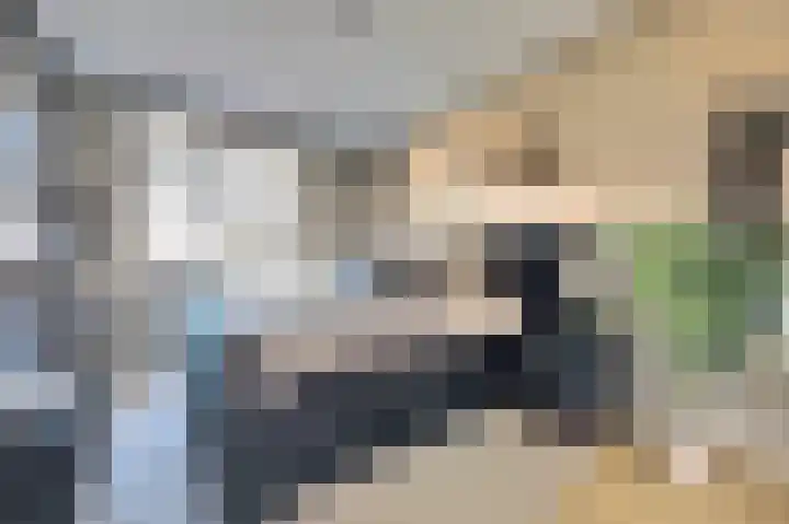Schoener 7 Spijkenisse thumbnail 22