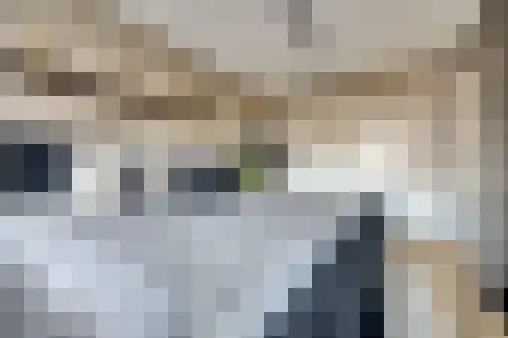 Schoener 7 Spijkenisse thumbnail 23
