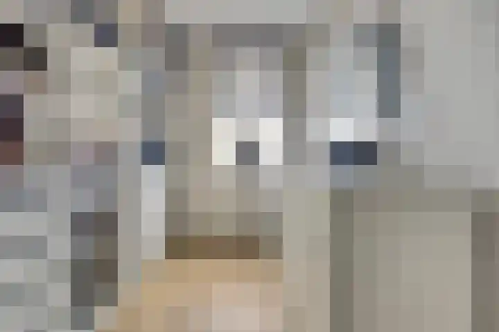 Schoener 7 Spijkenisse thumbnail 26