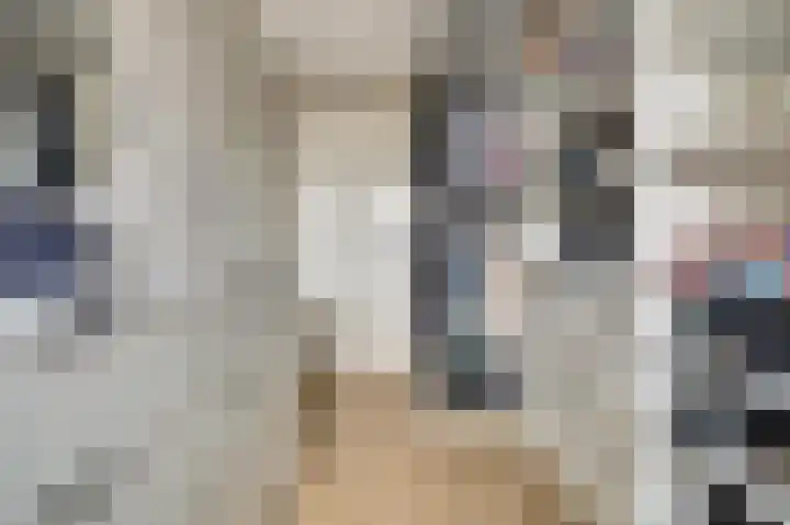 Schoener 7 Spijkenisse thumbnail 27
