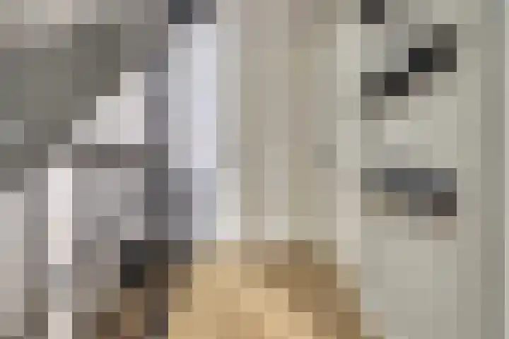 Schoener 7 Spijkenisse thumbnail 29
