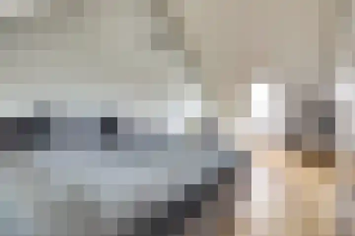 Schoener 7 Spijkenisse thumbnail 30