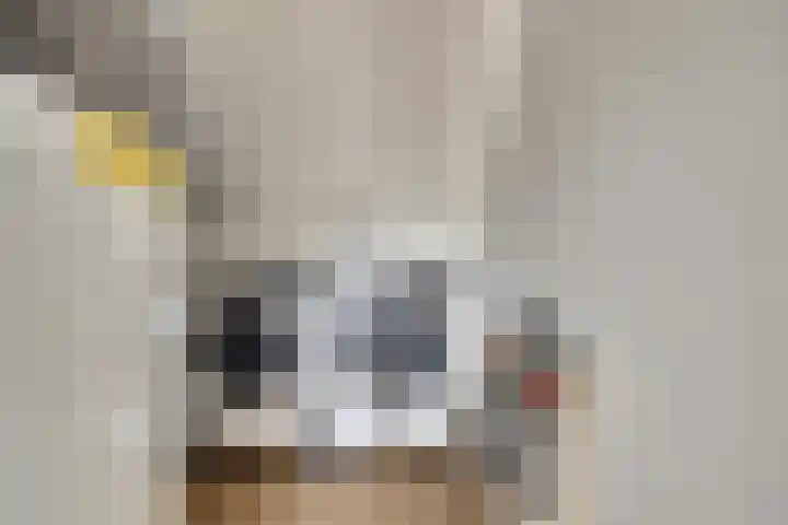 Schoener 7 Spijkenisse thumbnail 32
