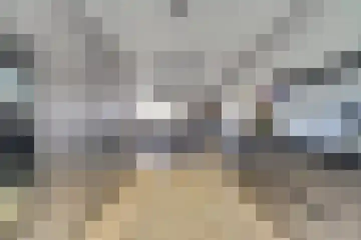 Schoener 7 Spijkenisse thumbnail 5