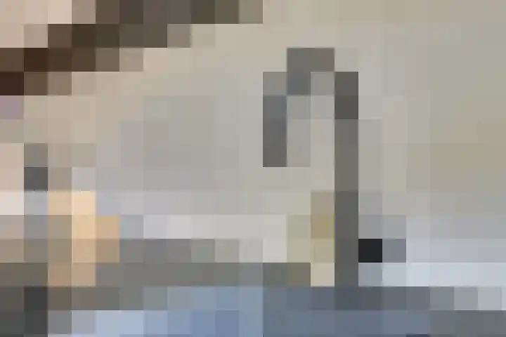 Schoener 7 Spijkenisse thumbnail 8