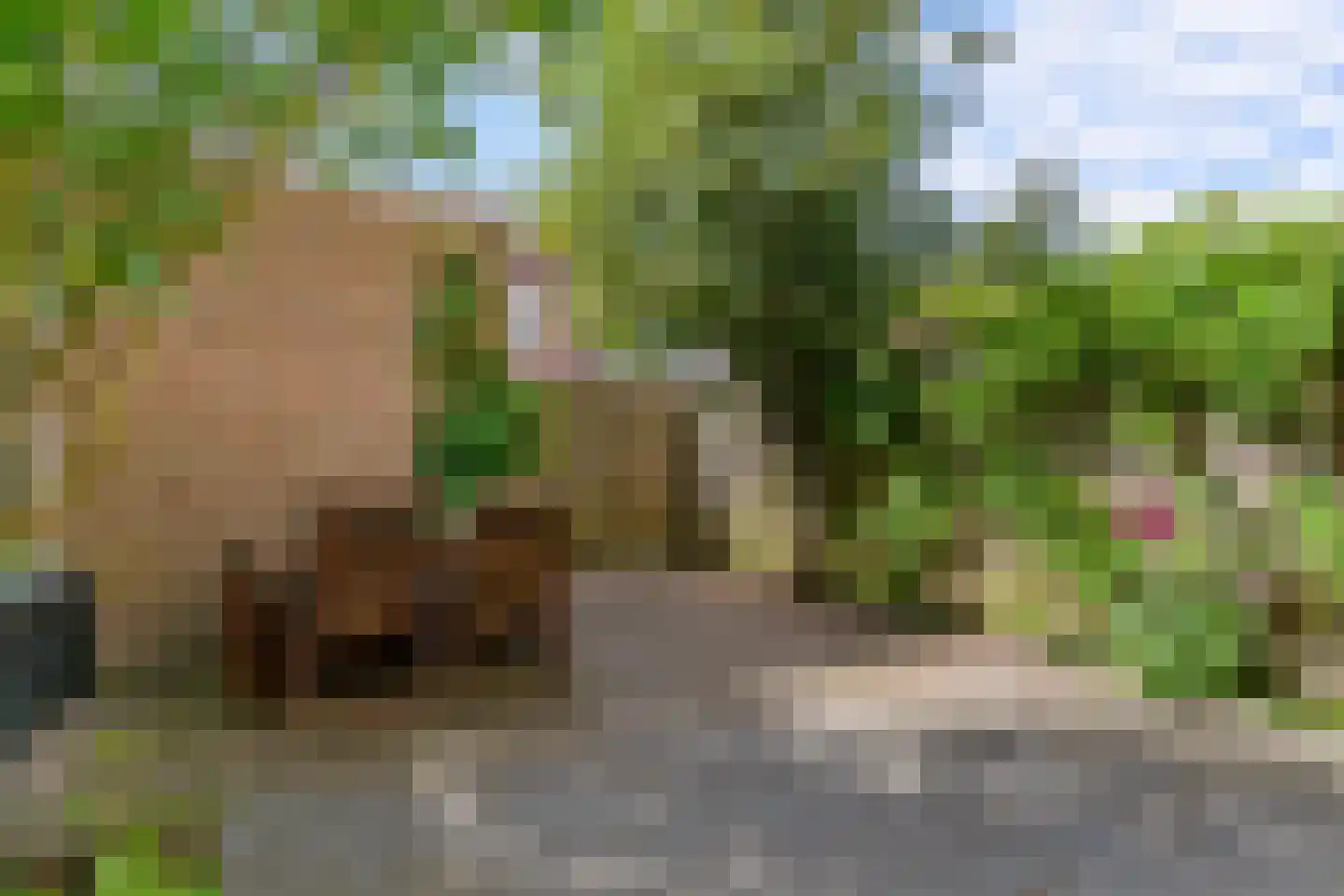Schoener 7 Woerden thumbnail 32