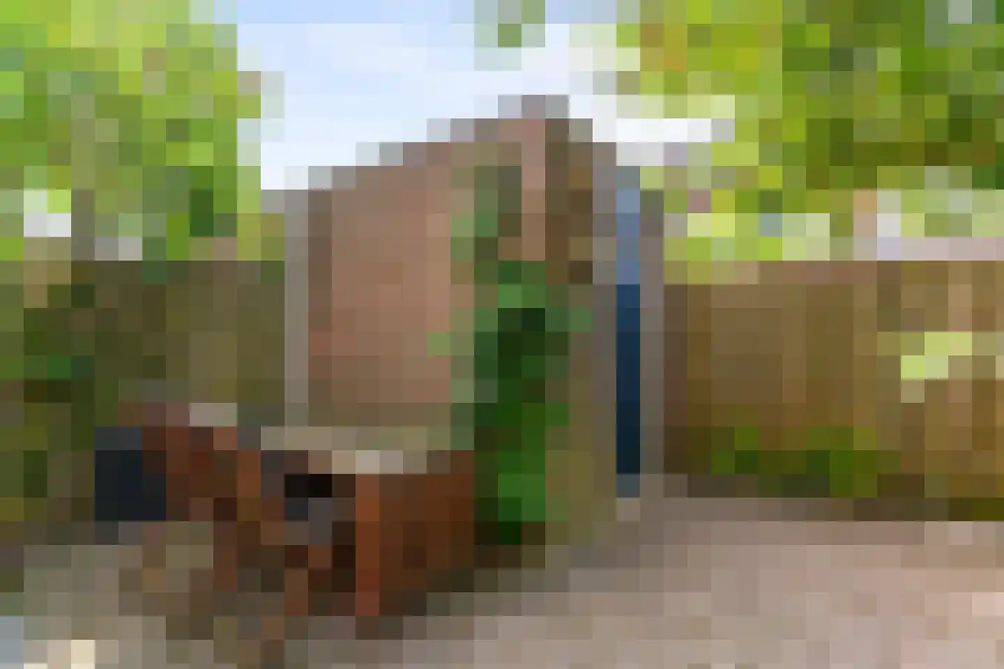 Schoener 7 Woerden thumbnail 33