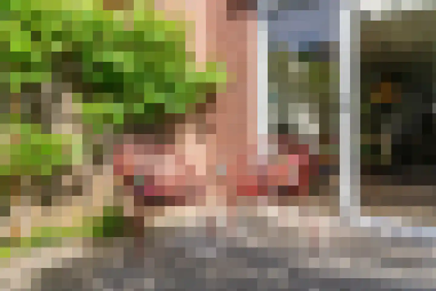 Schoener 7 Woerden thumbnail 35