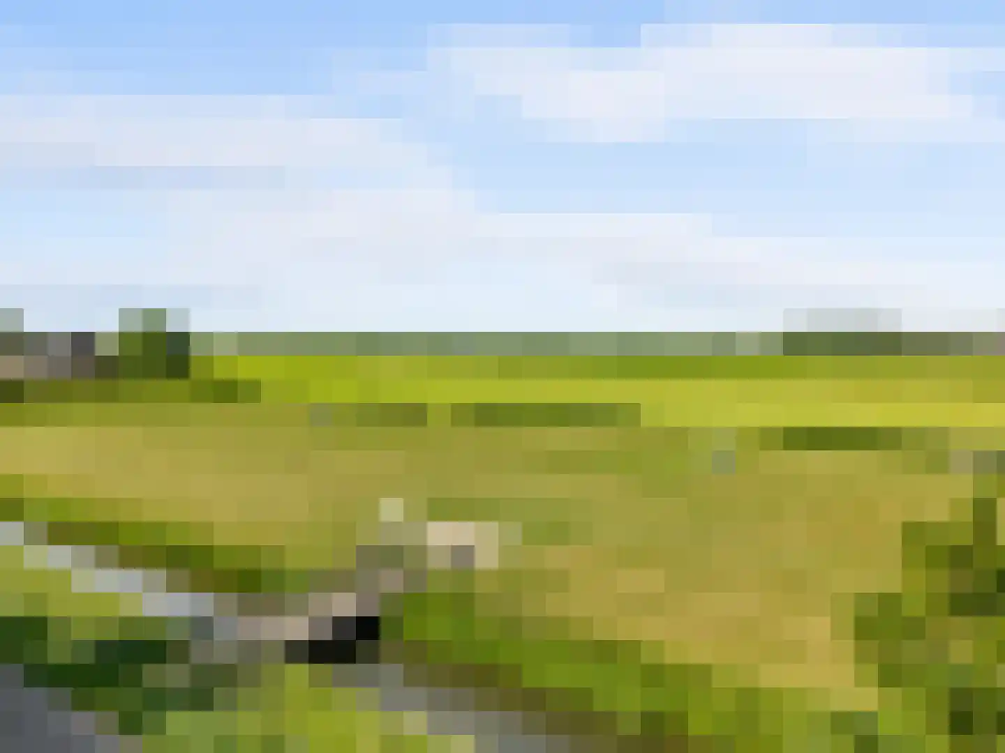 Schoener 7 Woerden thumbnail 40