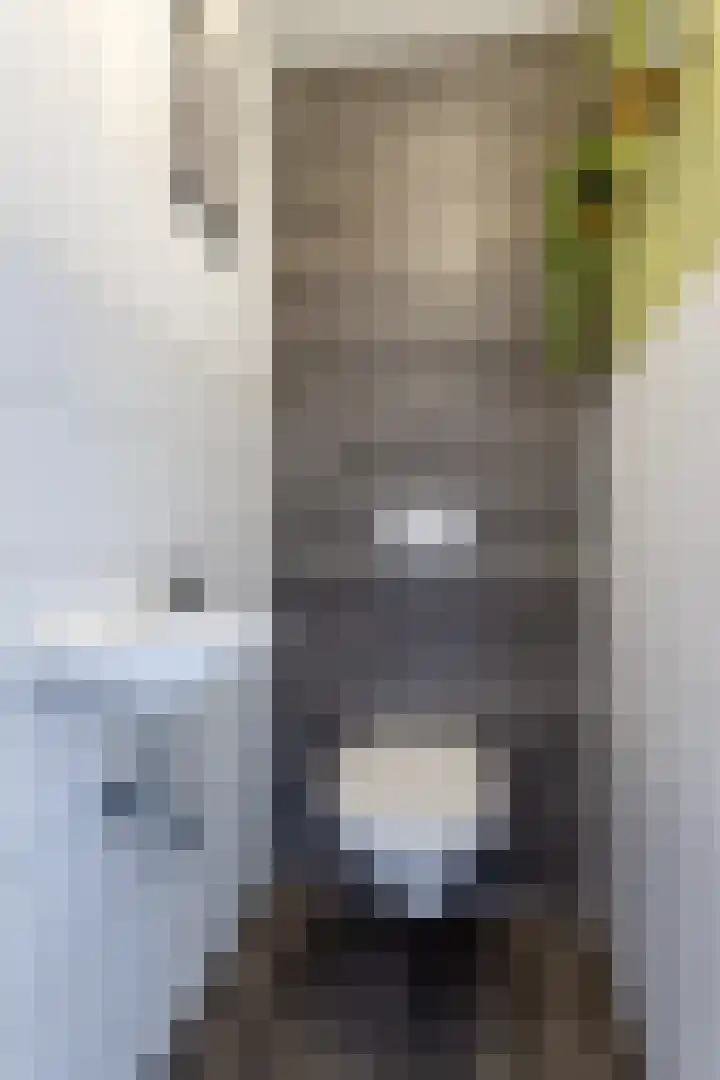 Schoener 8 Franeker thumbnail 10