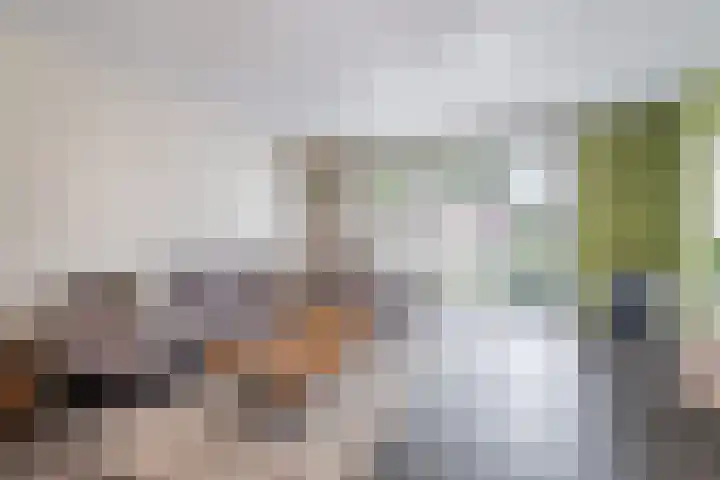 Schoener 8 Franeker thumbnail 14