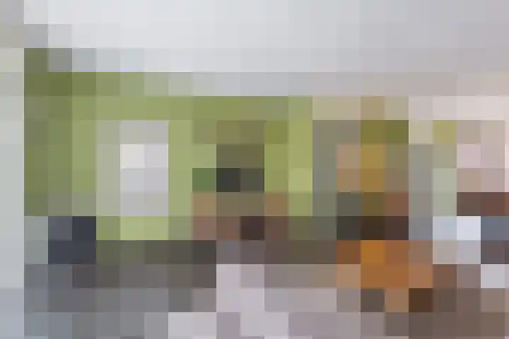 Schoener 8 Franeker thumbnail 15