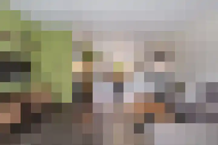 Schoener 8 Franeker thumbnail 17
