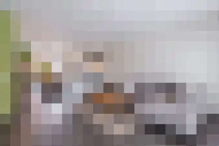 Schoener 8 Franeker thumbnail 18