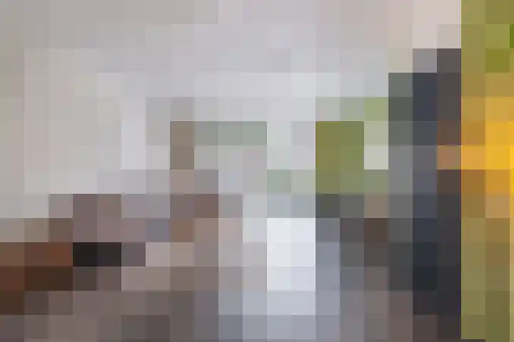 Schoener 8 Franeker thumbnail 20