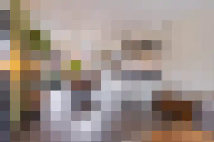 Schoener 8 Franeker thumbnail 22