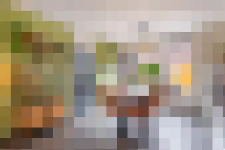 Schoener 8 Franeker thumbnail 24