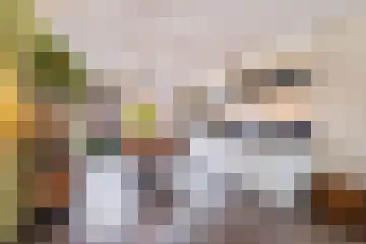 Schoener 8 Franeker thumbnail 26