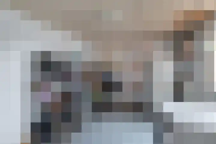 Schoener 8 Franeker thumbnail 28