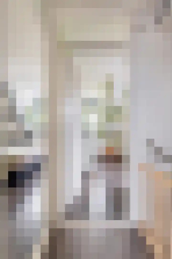Schoener 8 Franeker thumbnail 29
