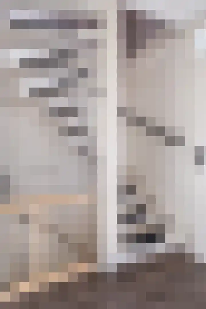 Schoener 8 Franeker thumbnail 30