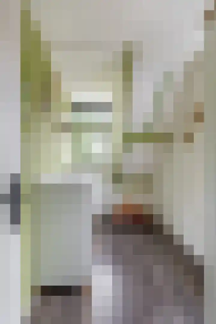 Schoener 8 Franeker thumbnail 32