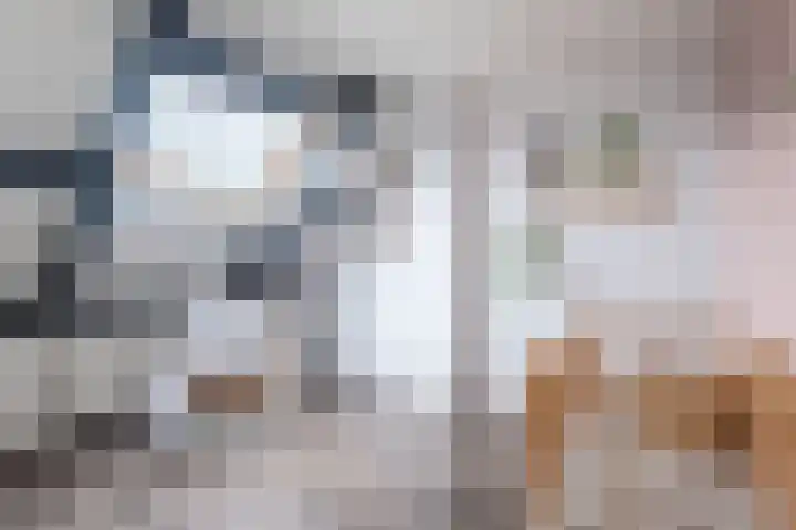 Schoener 8 Franeker thumbnail 36