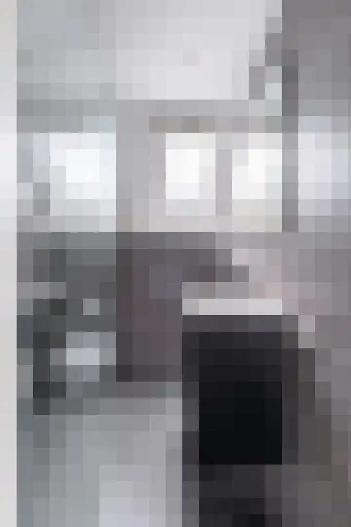 Schoener 8 Franeker thumbnail 41