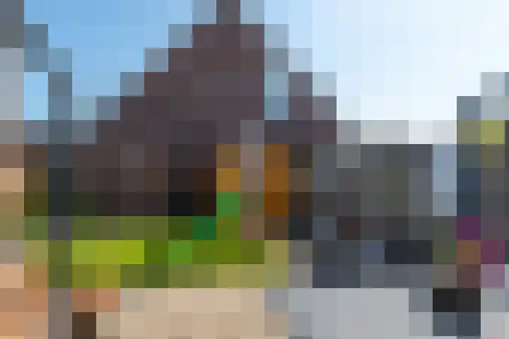 Schoener 8 Franeker thumbnail 43