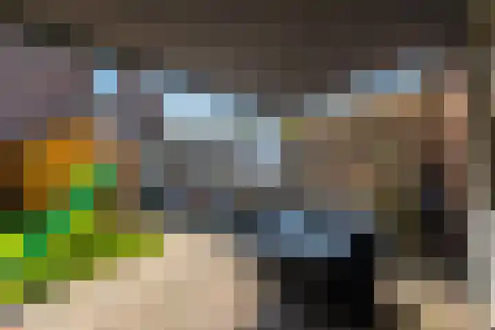 Schoener 8 Franeker thumbnail 44