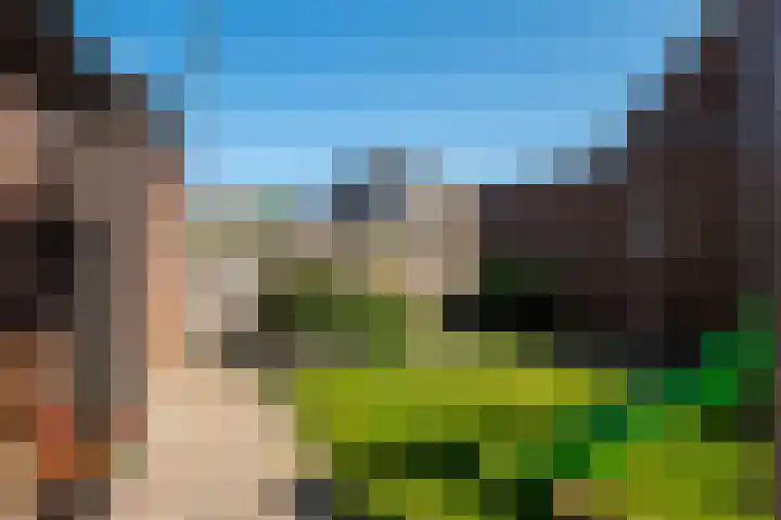 Schoener 8 Franeker thumbnail 45