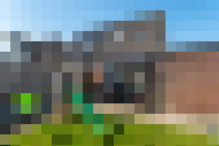Schoener 8 Franeker thumbnail 47