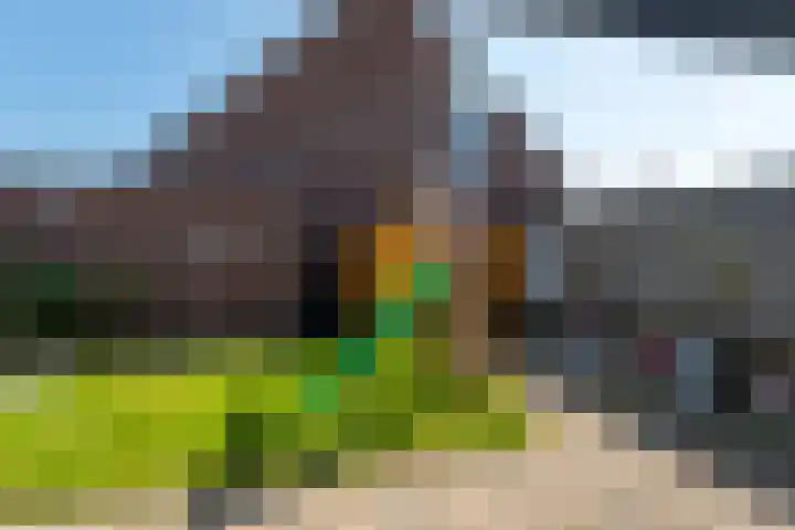 Schoener 8 Franeker thumbnail 5