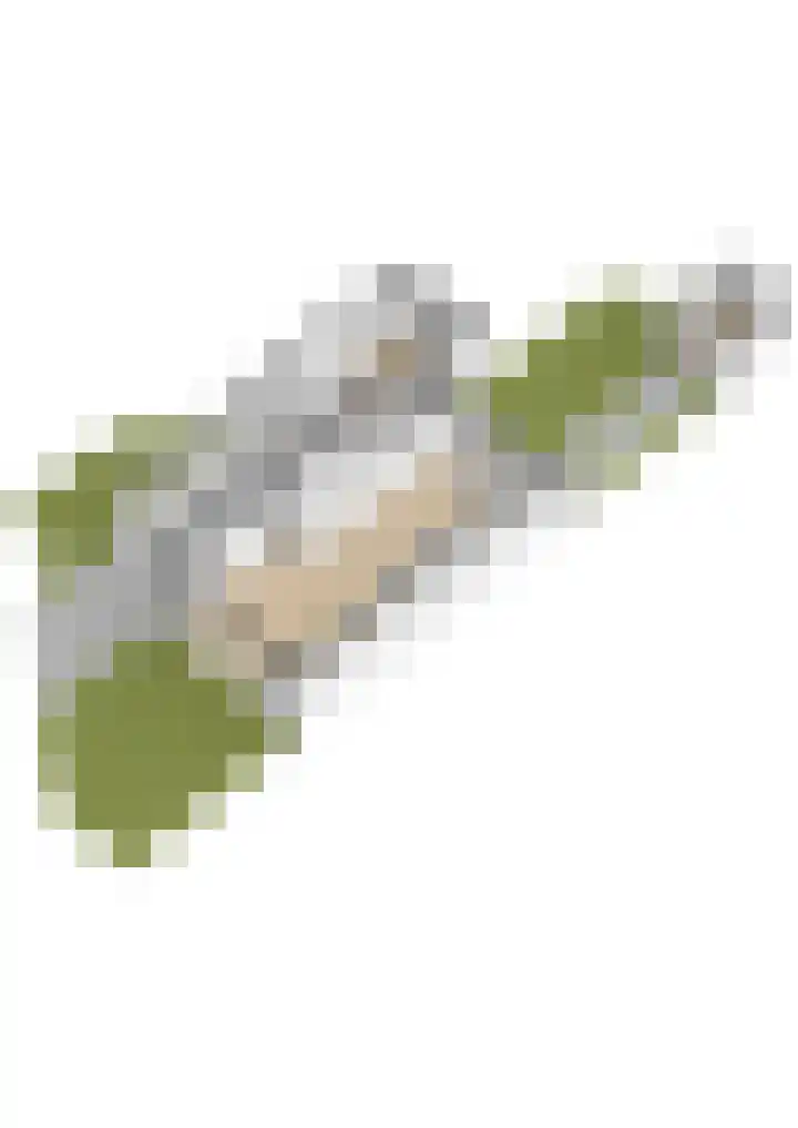 Schoener 8 Franeker thumbnail 58