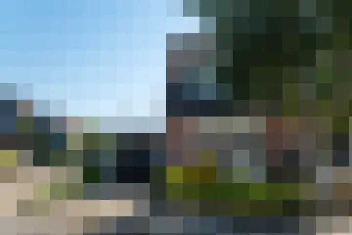 Schoener 8 Franeker thumbnail 7
