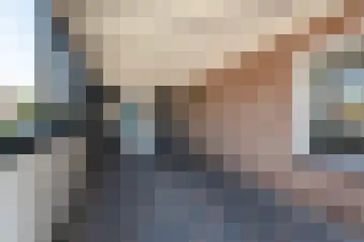 Schoener 8 Franeker thumbnail 9