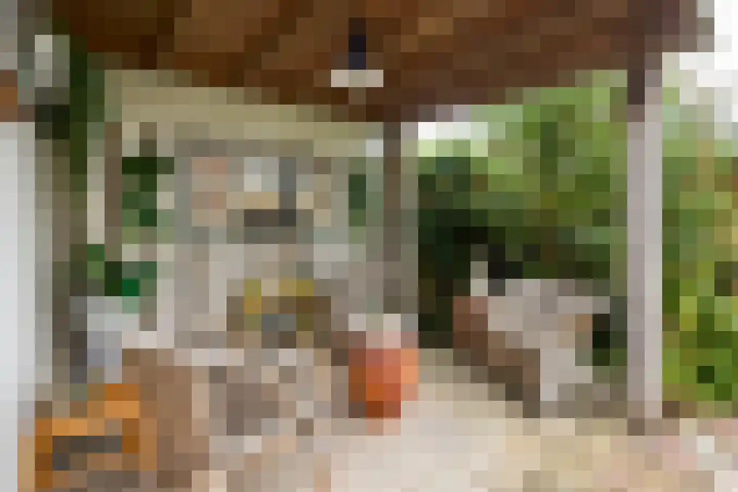 Schoener 93 Hoorn thumbnail 46
