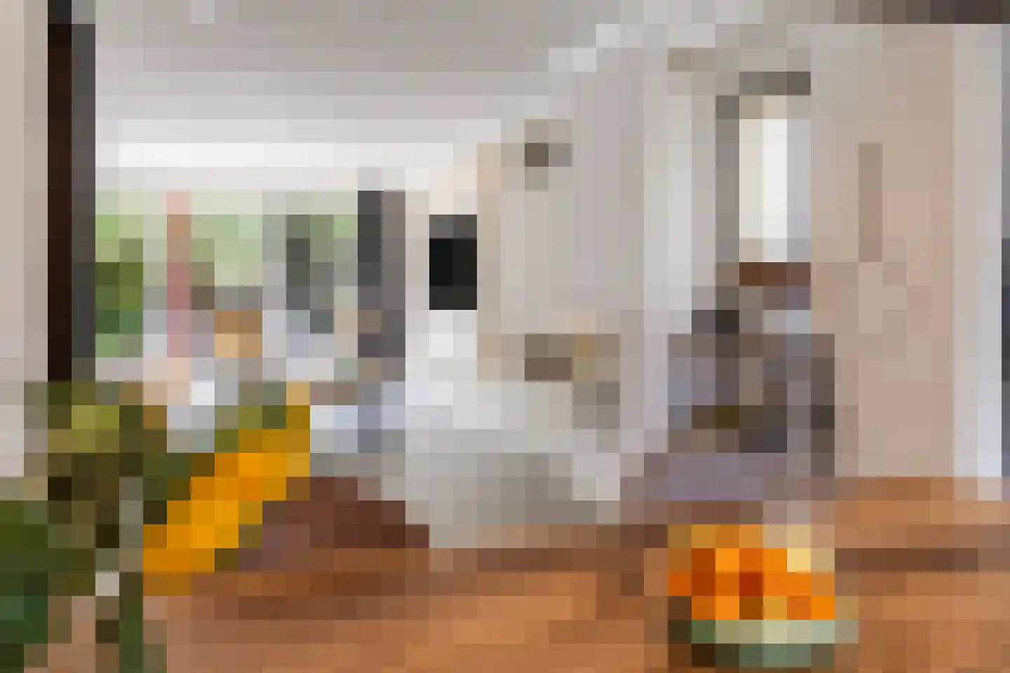Schoenerkade 1 Zoetermeer thumbnail 11