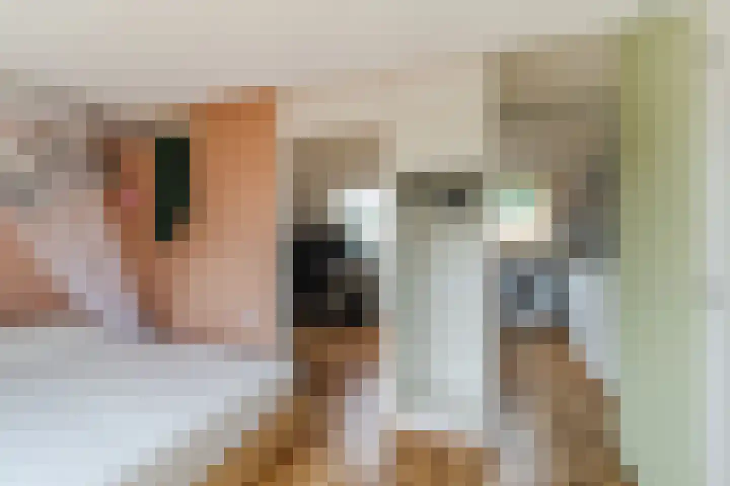 Schoenerkade 1 Zoetermeer thumbnail 25